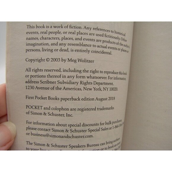 The Wife 2003 A Novel By Meg Wolitzer Paperback Book with 288 Pages - Picture 7 of 7